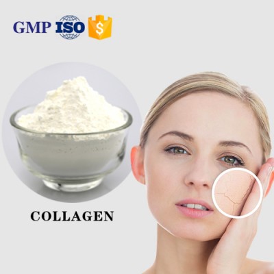 High Protein Fish Collagen Powder for Skin Care